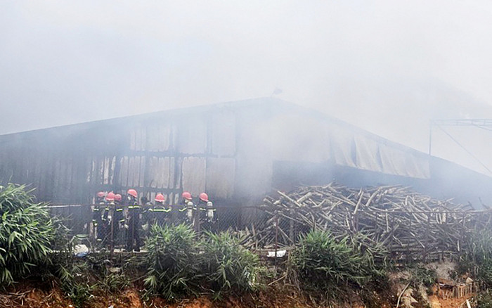 Xưởng nấm lớn nhất tỉnh Lâm Đồng bị 'bà hỏa' thiêu rụi trong tích tắc Ảnh 2
