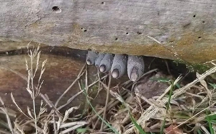 Bàn chân thò ra dưới thanh gỗ và sự thật khiến nhiều người ngã ngửa Ảnh 2