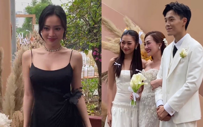 Sao Việt dự đám cưới Phương Lan - Phan Đạt Ảnh 2