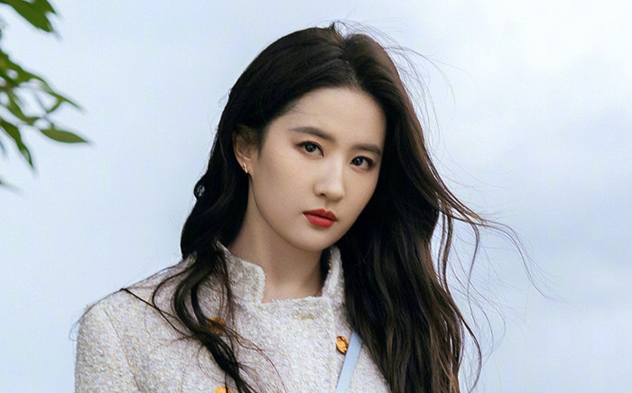 Lộ clip Lưu Diệc Phi đi xem pháo hoa cùng một ngôi sao đình đám, danh tính cực thân quen Ảnh 2