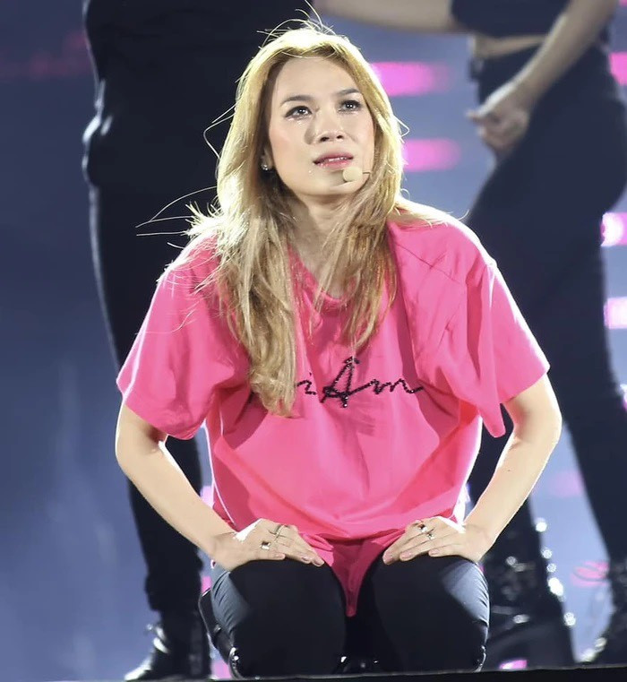 Đã hơn 2 thập kỉ hoạt động trong ngành giải trí, danh tiếng của Mỹ Tâm không những không suy giảm mà ngày càng khiến nhiều người ngưỡng mộ.