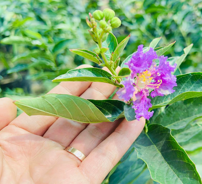 'Vua cá Koi' Thắng Ngô vẫn nặng lòng với vợ cũ Hà Thanh Xuân? Ảnh 4