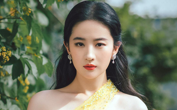 Người yêu cũ lớn hơn 11 tuổi của Lưu Diệc Phi Ảnh 2