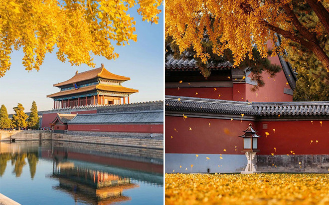 Xao xuyến với cảnh sắc Tử Cấm Thành sang thu: Rũ bỏ dáng vẻ rạng rỡ, khoác lên mình vẻ tự tại an yên Ảnh 2