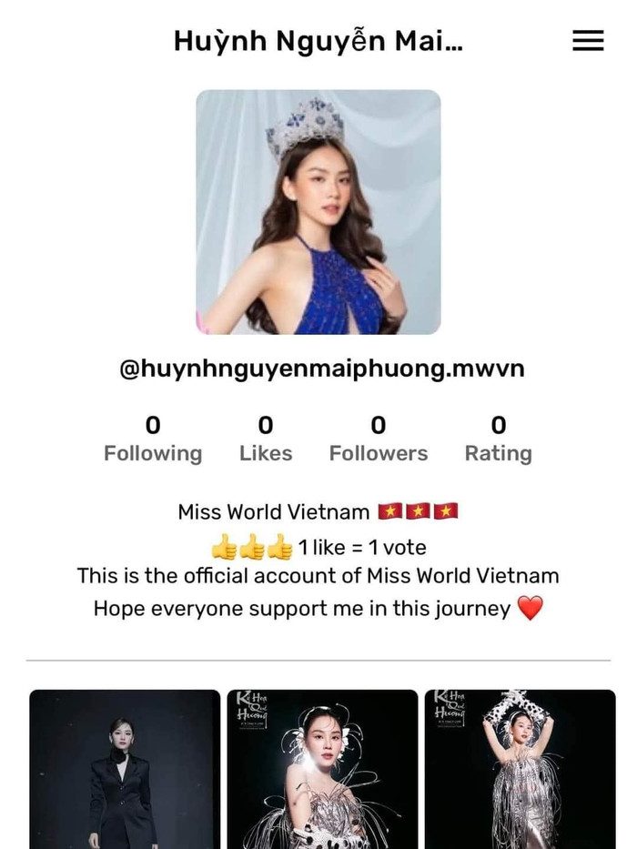 Tài khoản mới tạo của Mai Phương trên ứng dụng bình chọn.