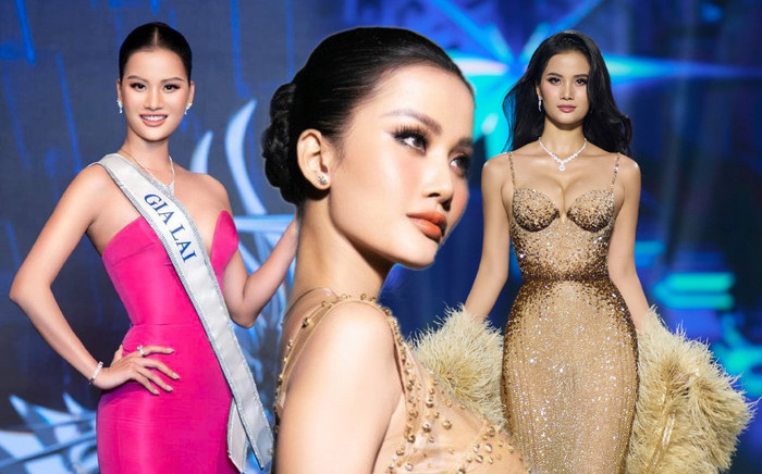 Mất suất Miss Universe - Miss Supranational, Hương Ly phải ngâm giấm thật sao? Ảnh 2