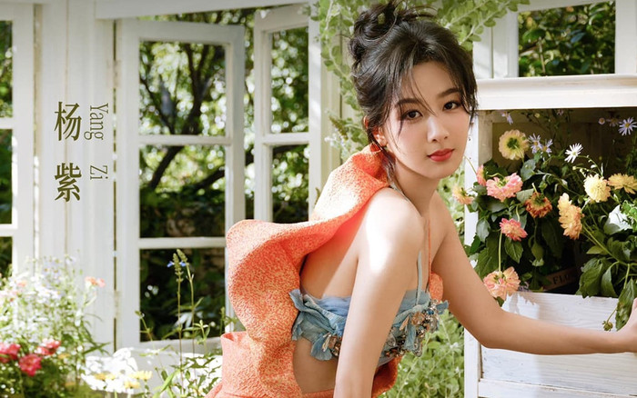 Dương Tử photoshop ảnh cong cả gạch, bảo sao fan không nhận ra thần tượng Ảnh 2