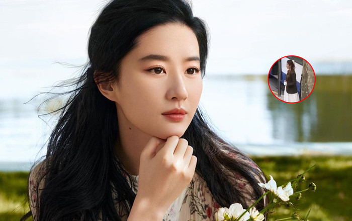 Câu chuyện hoa hồng: Lưu Diệc Phi lộ ảnh mang thai, danh tính bố đứa bé là ai? Ảnh 2