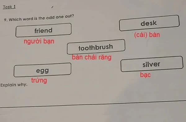 Bài tập về nhà của học sinh tiểu học khiến phụ huynh cũng phải bứt đầu gãi tai vì không biết phải chọn đáp án nào?