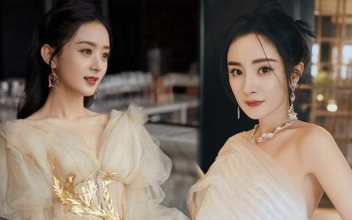 Triệu Lệ Dĩnh chính thức mất vị thế đỉnh lưu, đã thế còn bị đối xử tệ như thế này Ảnh 1