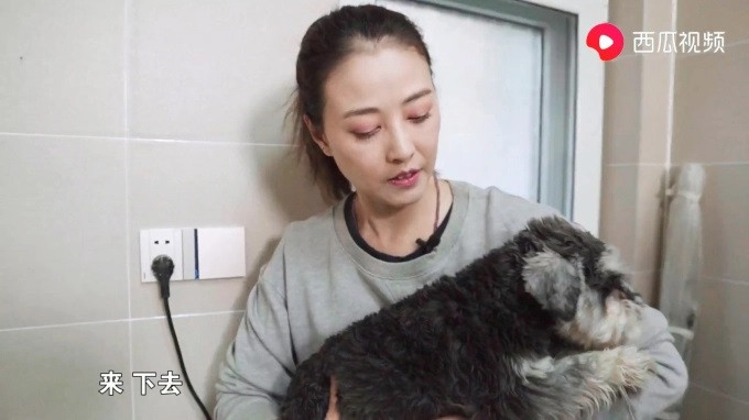 Lúc còn sống, Châu Hải My rất thương yêu thú cưng của mình.