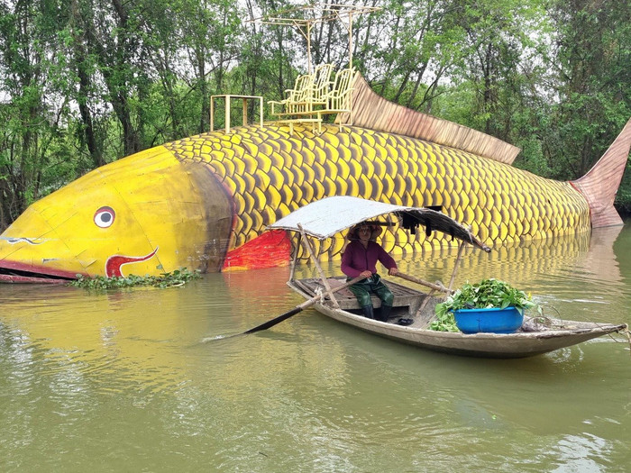 Ninh Bình: Cá chép vàng 'khổng lồ' nặng gần 1.000 kg xuất hiện trên sông Hoàng Long Ảnh 1