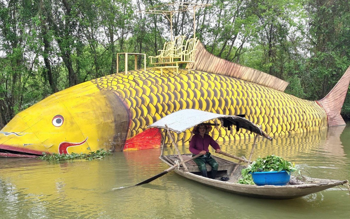 Ninh Bình: Cá chép vàng 'khổng lồ' nặng gần 1.000 kg xuất hiện trên sông Hoàng Long Ảnh 2