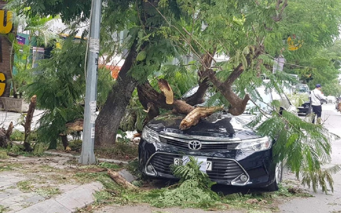 Gió mùa đông bắc tràn về mạnh làm gãy cây đè ô tô, lốc thổi tung mái tôn nhà dân Ảnh 2