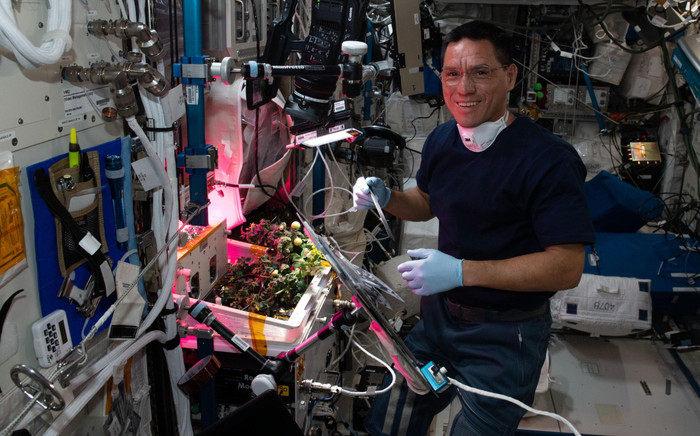 Quả cà chua mất tích 8 tháng trên vũ trụ đã được tìm thấy Ảnh 2