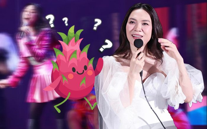 Mỹ Tâm diện váy ngắn đi hát, bất ngờ bị fan trêu chọc: Chị lấy cảm hứng từ thanh long ư? Ảnh 2