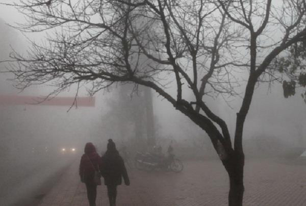 Hình minh họa&nbsp;