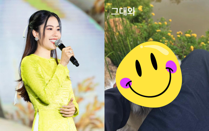 Chưa đầy một tháng hậu nghi vấn mất con, Nam Em công khai 'thành viên mới' Ảnh 2