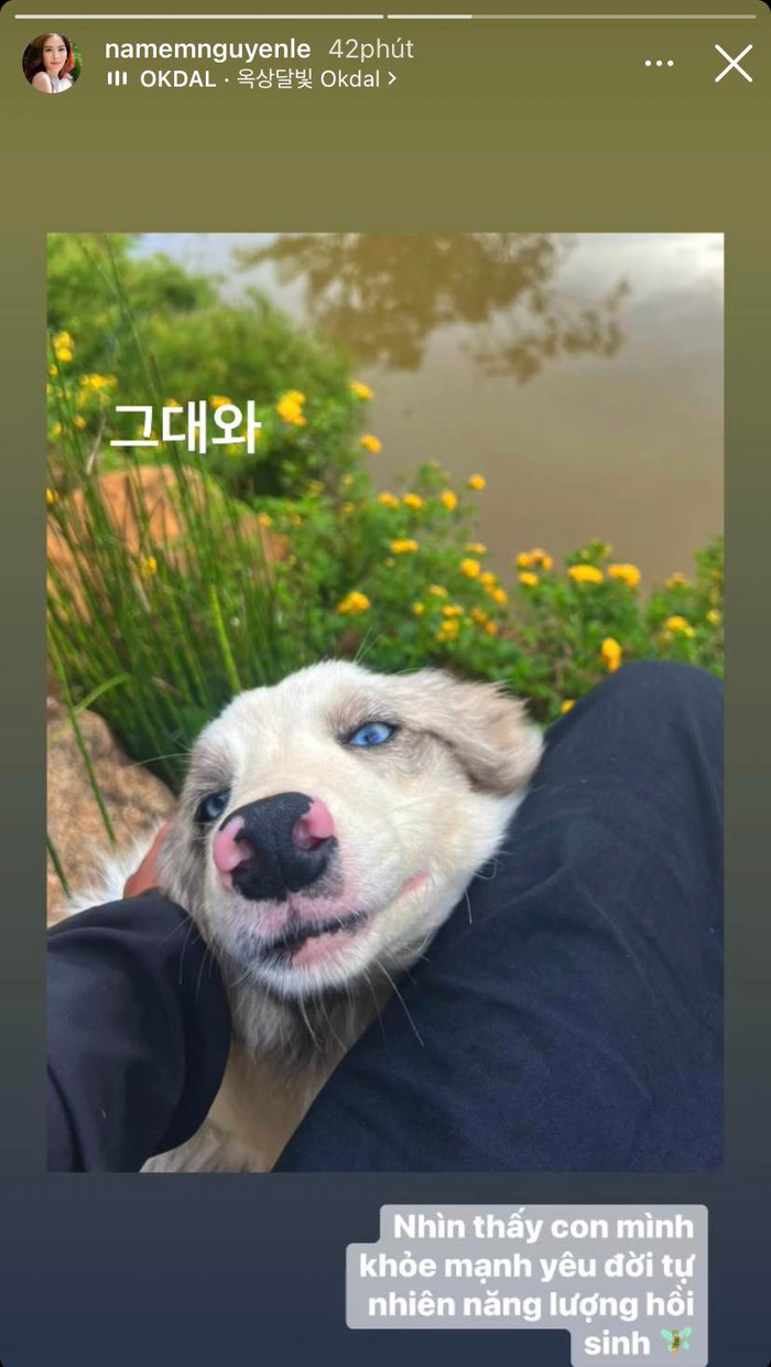 Nam Em lộ rõ tâm trạng vui vẻ khi có thêm thú cưng