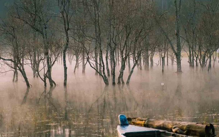 Suối Tía Đà Lạt - vẻ đẹp như chốn bồng lai tiên cảnh khiến giới trẻ si mê Ảnh 2