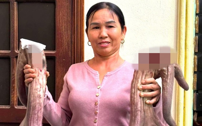 Một hộ dân kiếm bộn tiền nhờ cặp nhung nai 'khủng', nhiều người nườm nượp kéo đến xem Ảnh 2