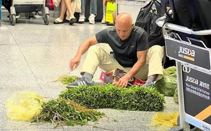 Bức ảnh khách tây vô tư ngồi nhặt rau ở sảnh sân bay Nội Bài gây xôn xao mạng xã hội Ảnh 2