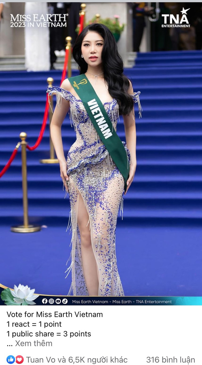 Miss Earth mở bình chọn chặng đầu tiên, đại diện Việt Nam đang ở vị trí nào? Ảnh 1