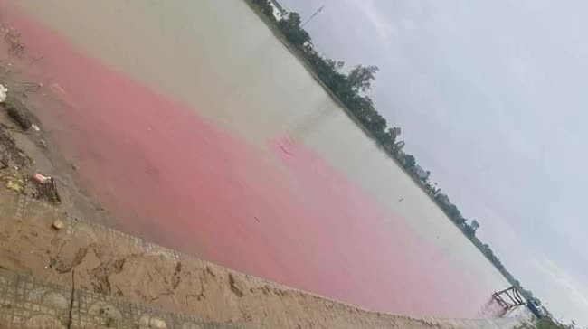 Nước sông Hiếu xuất hiện màu đỏ bất thường. Ảnh: Dân Việt