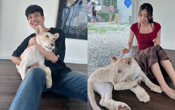 Tiểu Vy và Nicky Nachat vướng tin đồn bí mật hẹn hò.