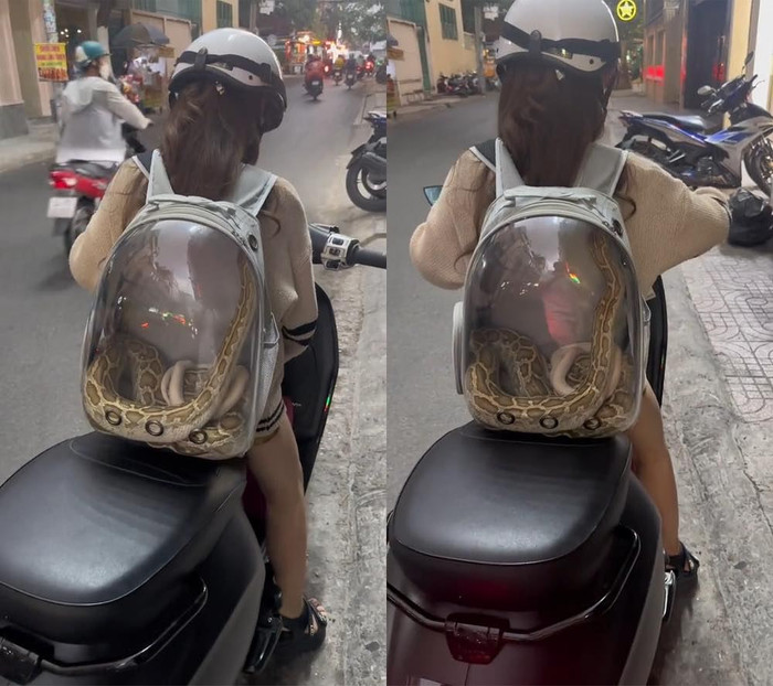 Chở theo thú cưng trên đường, cô gái trẻ khiến ai nấy vừa nhìn cũng tỏ vẻ khiếp đảm Ảnh 1