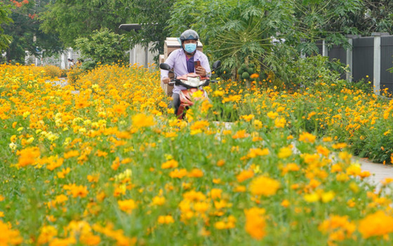 TP.HCM và Nam Bộ có tia cực tím ở ngưỡng gây hại rất cao Ảnh 2