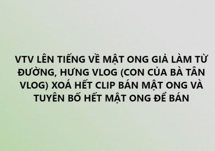 VTV lên tiếng về mật ong giả làm từ đường, con trai Bà Tân Vlog bất ngờ xóa hết các video bán mật ong Ảnh 4