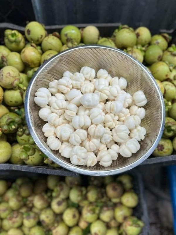 Ruột măng cụt xanh gọt sẵn có giá khá cao