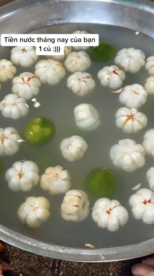 Việc gọt măng cụt xanh tốn rất nhiều công sức và thời gian, chưa kể với việc phải gọt liên tục dưới vòi nước sẽ làm tốn tiền nước hơn bình thường