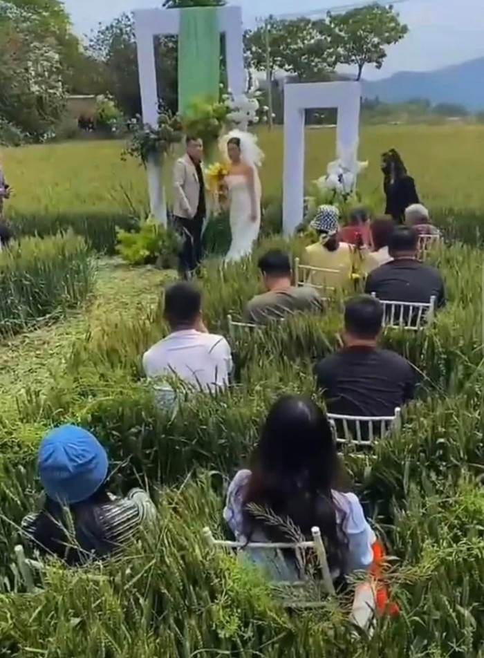  Đám cưới tổ chức ở ruộng lúa có một không hai, dân mạng nhìn xong chỉ thấy ngứa thay quan khách Ảnh 2