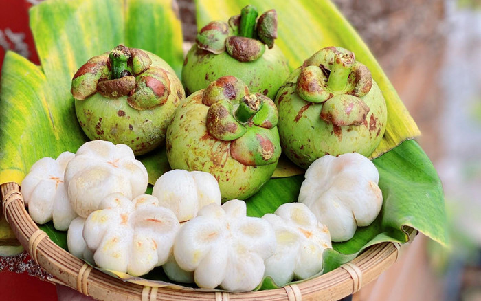 Măng cụt xanh luôn 'cháy hàng' nhưng nhiều chủ vườn vẫn nhất quyết không bán, vì sao? Ảnh 2