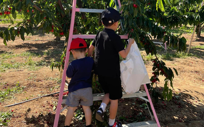 Khoảnh khắc giản dị của Phạm Hương bên hai quý tử, diện mạo của nhóc tỳ gây chú ý Ảnh 2