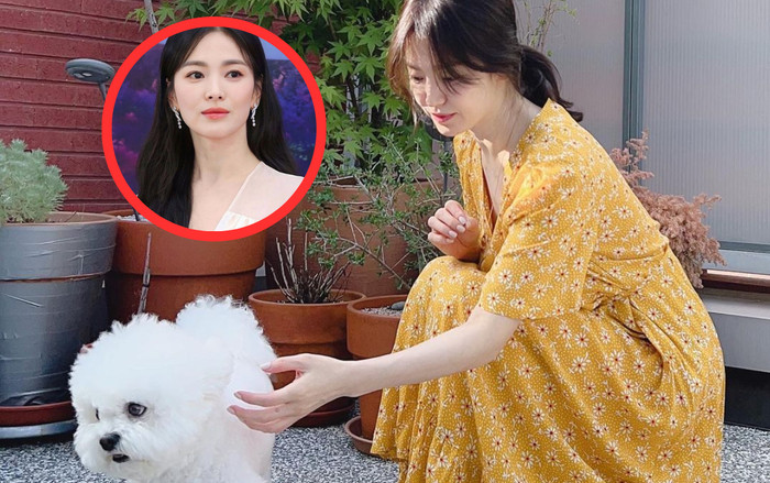 Song Hye Kyo thư thái tận hưởng cuộc sống sau khi bất ngờ dừng hợp tác với Han So Hee Ảnh 2