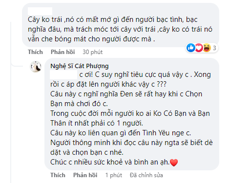 Cát Phượng cho rằng cô chỉ nhắc đến việc 'chọn bạn mà chơi', không hề nói về tình yêu