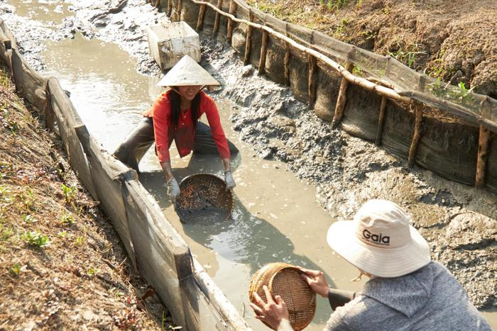 H'Hen Niê được khen ngợi hết lời với hình ảnh lội bùn bắt cá, netizen: 'Thương em ở cái chất mộc mạc!' Ảnh 3