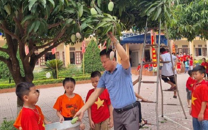 Thầy cô giáo hái xoài ngay trong khuôn viên trường tặng cho học trò ở buổi lễ tổng kết năm học Ảnh 2