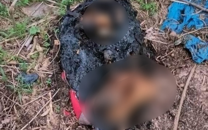 Hé lộ nhận định ban đầu về giới tính 2 đoạn chân bị đốt cháy trong vali ở bãi đất trống Ảnh 2