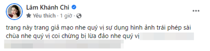 Lâm Khánh Chi lên tiếng về loạt trang giả mạo, sử dụng hình ảnh của nữ ca sĩ trái phép Ảnh 2