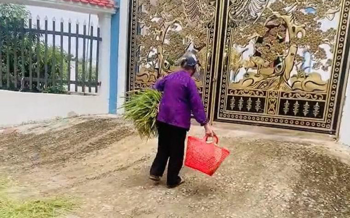 Thấy cụ bà già yếu bơ vơ, chàng trai tốt bụng cho quá giang, đến nhà cụ phát hiện sự thật ngỡ ngàng Ảnh 2