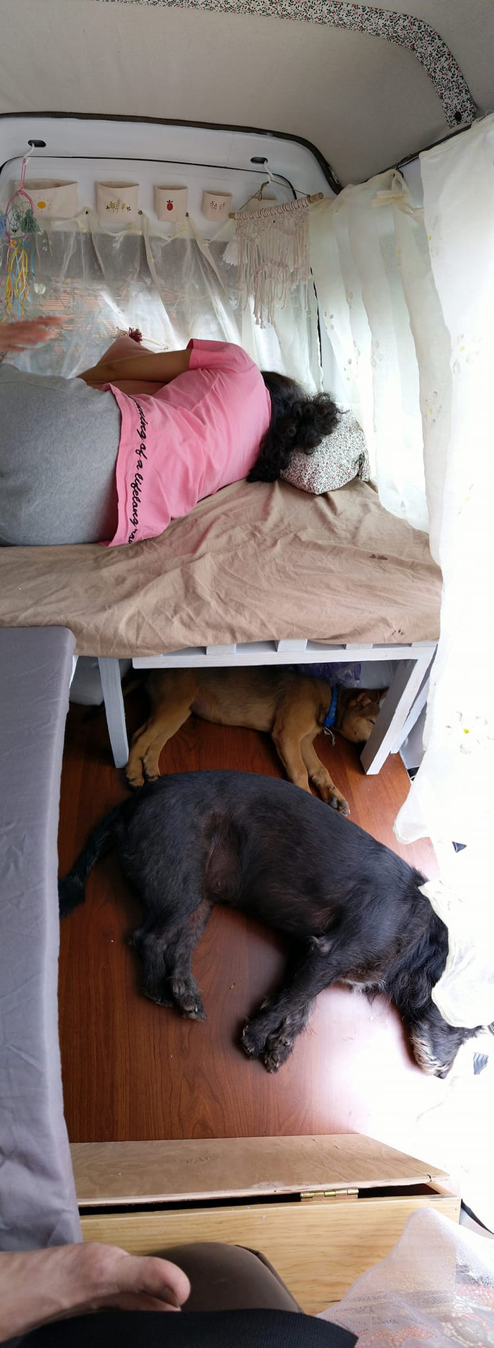 Chỉ với giá bằng 1 con xe tay ga, chàng trai biến ôtô cũ thành xế xịn, phượt chill chill xuyên miền Trung Ảnh 6