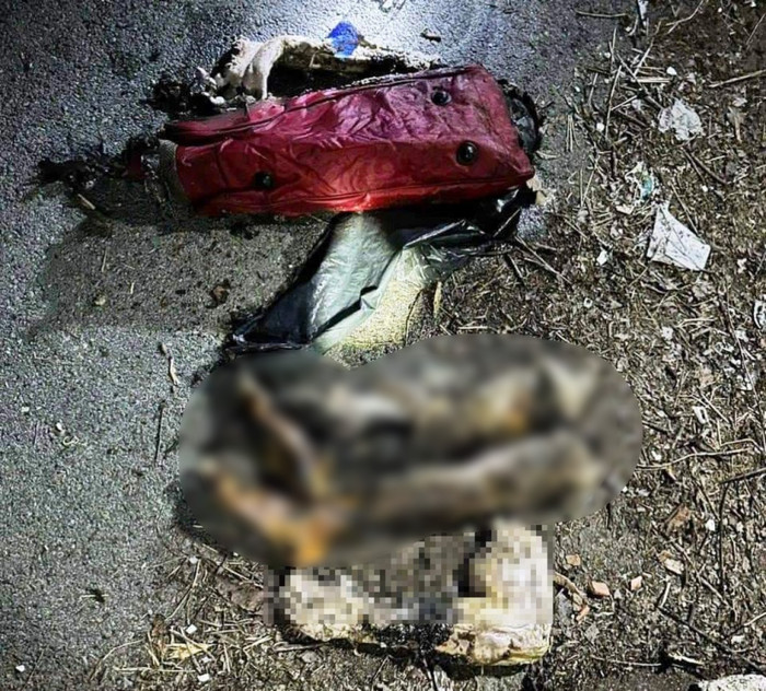 Khu vực hiện trường phát hiện vụ việc. (Ảnh: VOV).