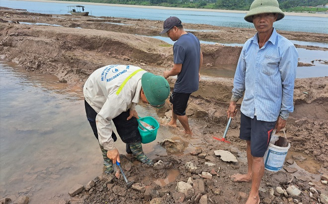 Sông Đà cạn trơ đáy, người đổ xô đi mò 'cổ vật' và cái kết ngỡ ngàng Ảnh 2