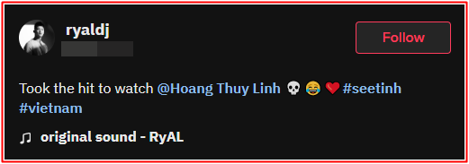 Hoàng Thùy Linh bị khán giả nước ngoài 'khiếu nại' vì sự cố khó đỡ khi đến Việt Nam Ảnh 2