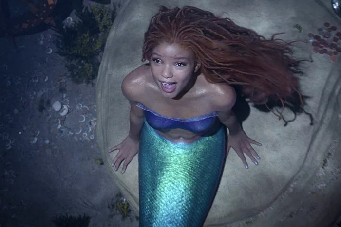  Disney tiếp tục ra mắt phim về Nàng Tiên Cá da màu, nữ chính được ủng hộ gấp 1000 lần Halle Bailey Ảnh 1