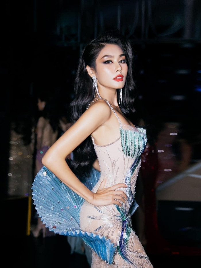  Thảo Nhi Lê không ghi danh tại Hoa hậu Hoàn vũ Đức như nguyện vọng của fan Ảnh 10